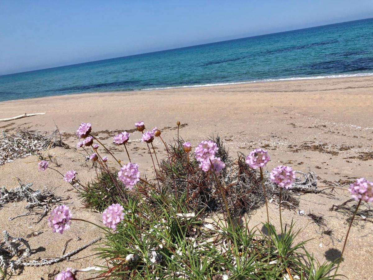 ואלדוריה Appartamenti Magnolie-La Pineta מראה חיצוני תמונה